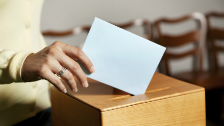 Електоральна підтримка: реформування виборчого законодавства та практики