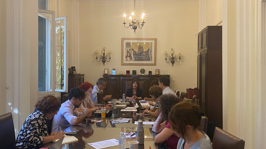 Training for University Professors on Roma Issues