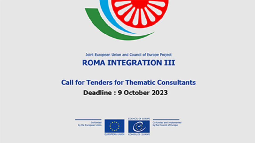 Roma Integration III Call for Tenders: Thematic Consultants