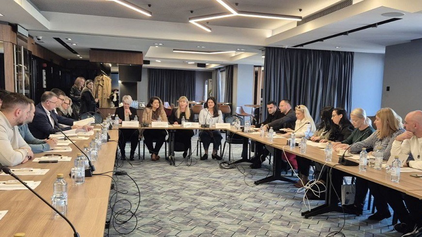 North Macedonia: Regional Training Workshops held to enhance Implementation of Legal Amendments for Vulnerable Groups