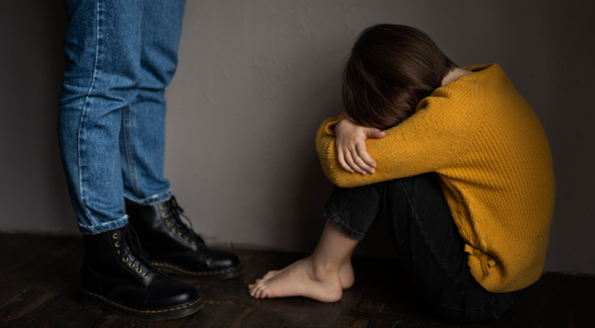 Montenegro publishes Handbook for lawyers providing free legal aid to victims of domestic violence