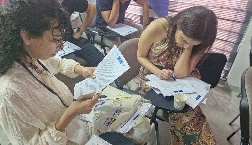 Litigating for change: Training on legal strategies to promote women’s rights protection in Türkiye