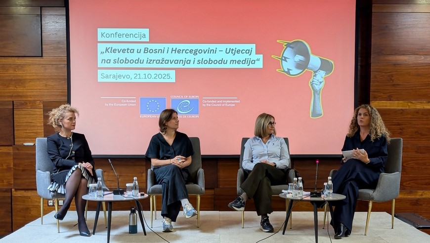 Defamation, SLAPPs, and democracy: Protecting the space for public debate in BiH