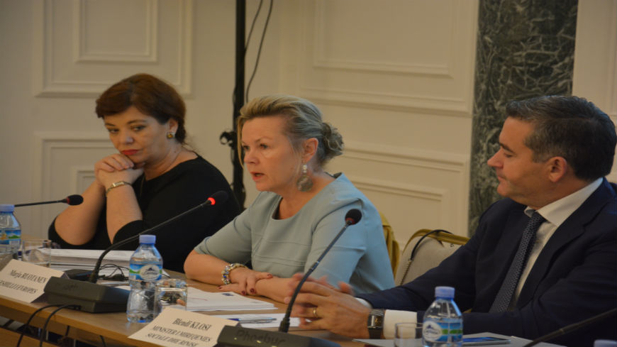 Pictured above is the Albanian Vice-Minister of Education, the CoE Director for Human Dignity and Equality and the Albanian Minister of Welfare and Youth