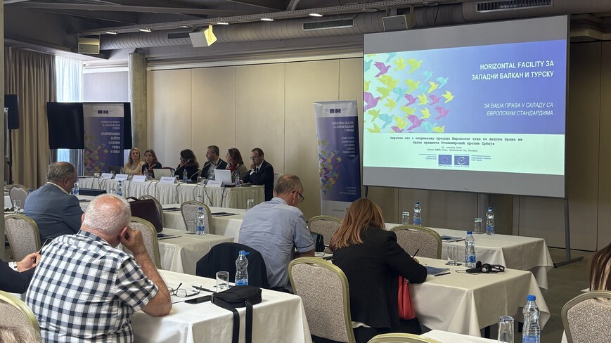 Roundtable on the execution of the Stanimirović v. Serbia group of judgments: effective investigations into ill-treatment by the police
