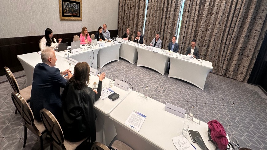 Montenegro: Beneficiaries Steering Committee approves a plan for the Freedom of Expression action in Montenegro