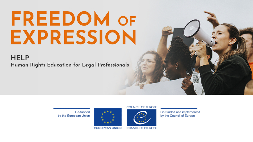Strengthening legal expertise on freedom of expression in North Macedonia