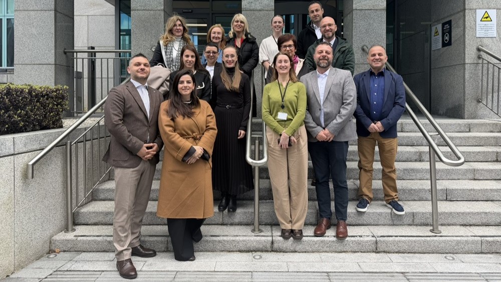 Learning from European best practices in advancing digital oversight and platform accountability