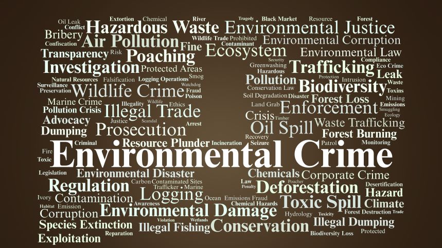 Strengthening the understanding of environmental crime risks among financial institutions and non-financial businesses and professions in the Western Balkans