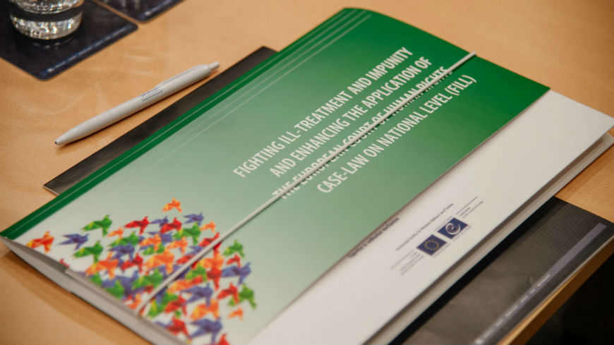 Second coordination meeting of the case law departments