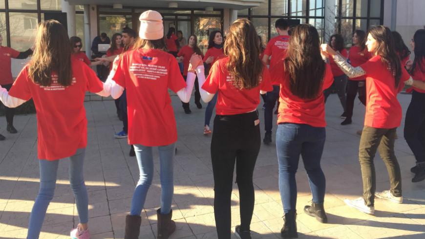 International Volunteering Day in Montenegro
