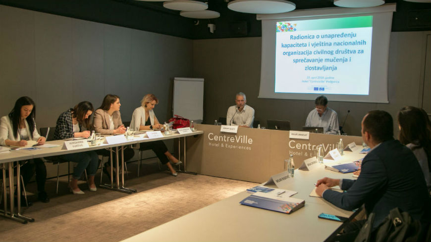 Workshop on developing the capacity and skills of national civil society organisations to investigate and report in the field of prevention of torture and ill-treatment
