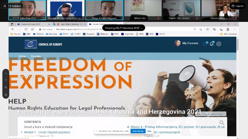 Kick-off event of an online course for legal professionals on freedom of expression in Bosnia and Herzegovina