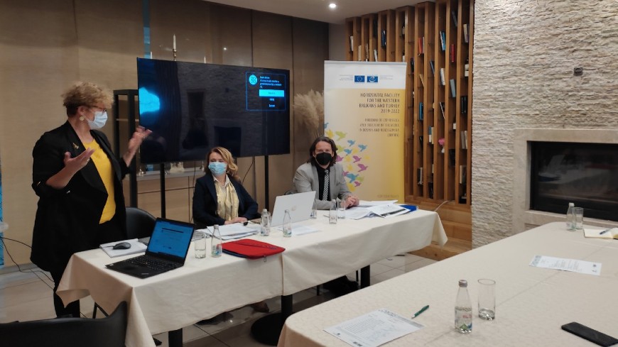 Cascade training on defamation for lawyers of Federation of Bosnia and Herzegovina