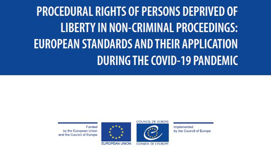 Analysis of the rights of persons deprived of liberty in non-criminal proceedings published