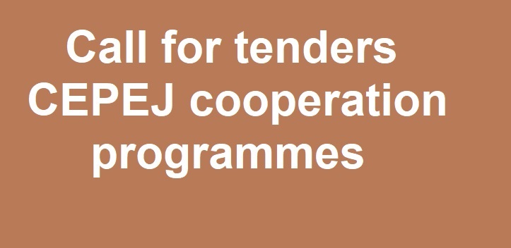 Call for tenders for the provision of intellectual services in the implementation of CEPEJ cooperation programmes