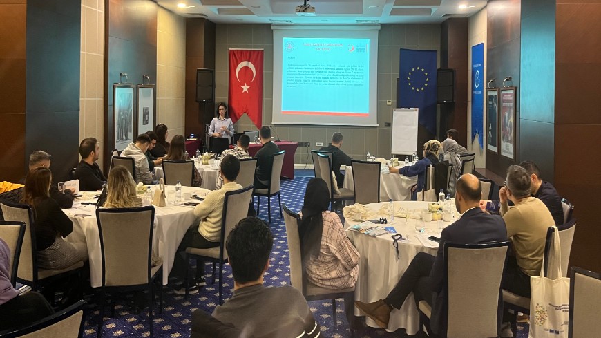 Workshop on the development of the national Action Plan on combatting trafficking in human beings in Türkiye