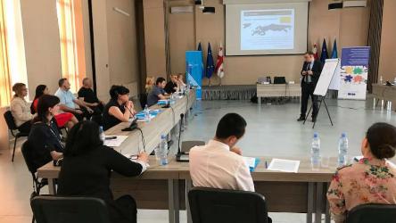 Training of Georgian judges on re-opening cases