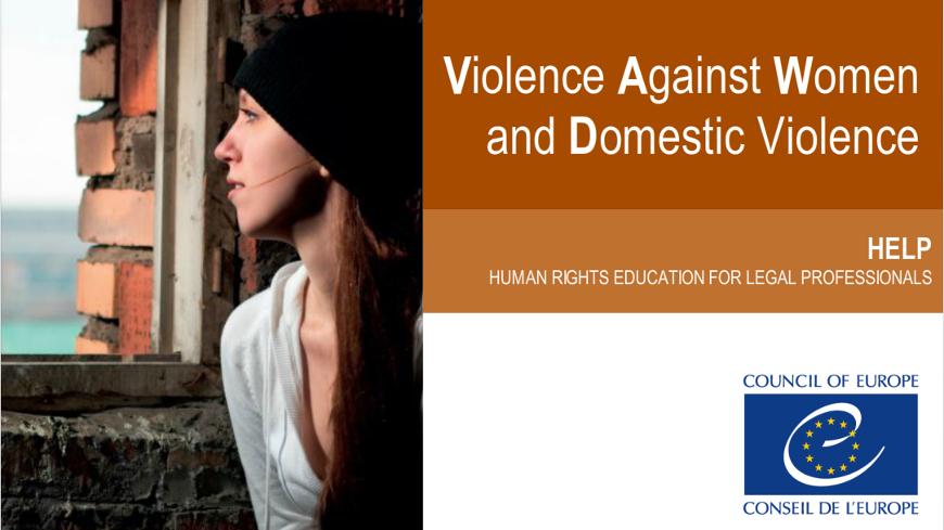 مكافحة العنف ضدّ المرأة والعنف المنزلي