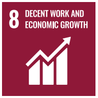 SDG 8