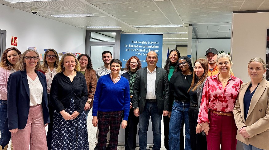 The EU-Council of Europe reference group on youth work development at European level