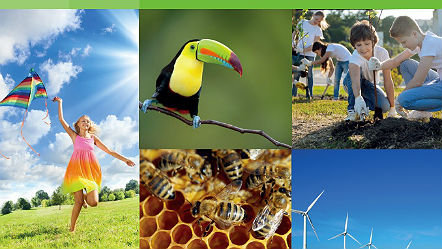 Sustainability and youth work