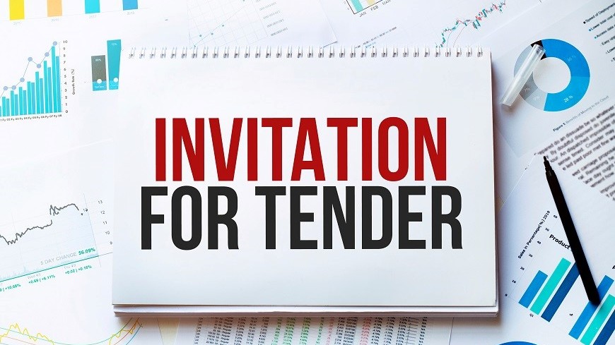 Call for tender: pool of international experts supporting the Council of Europe’s work to strengthen the safety and service pillars of the Saint-Denis Convention