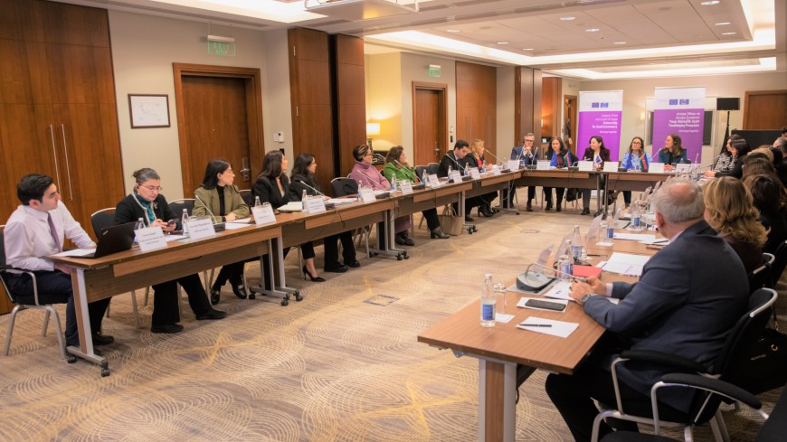 Azerbaijani authorities discuss multi-agency co-operation on combating violence against women