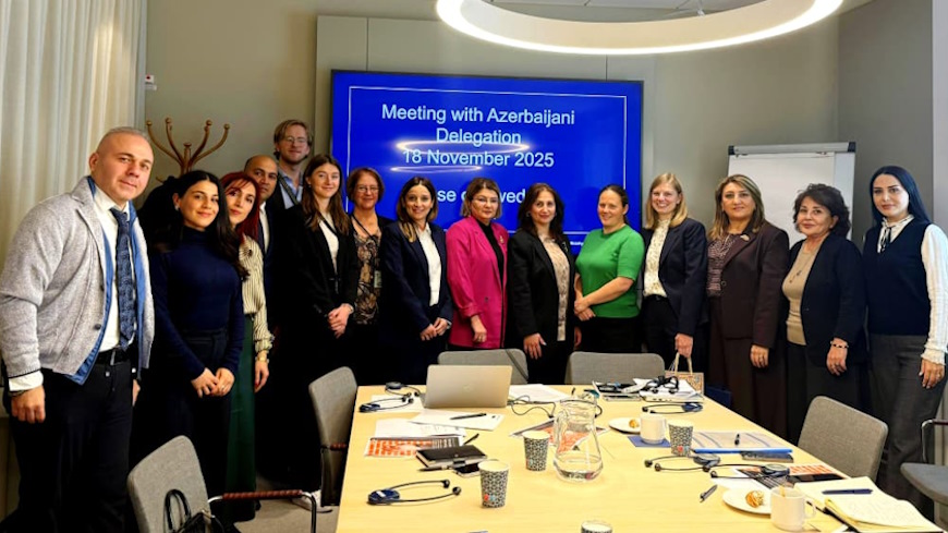 Azerbaijani authorities explore Swedish coordination and protection mechanisms to strengthen national response to violence against women