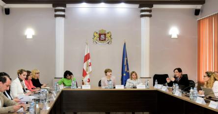 Second visit of CEPEJ experts to pilot courts within the court coaching programme in Georgia