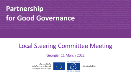 The Council of Europe and the European Union Delegation presented the state of implementation of the joint projects in Georgia in 2021 and PGG activities planned for 2022