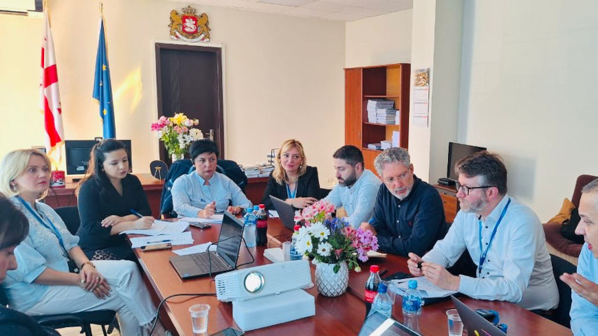 Supporting the reduction of backlog in Georgian courts through workshops on dedicated CEPEJ tool