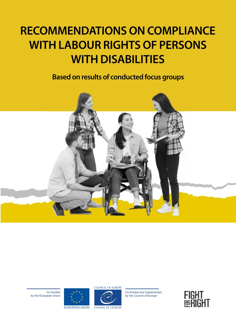 Recommendations on compliance with labour rights of persons with disabilities
