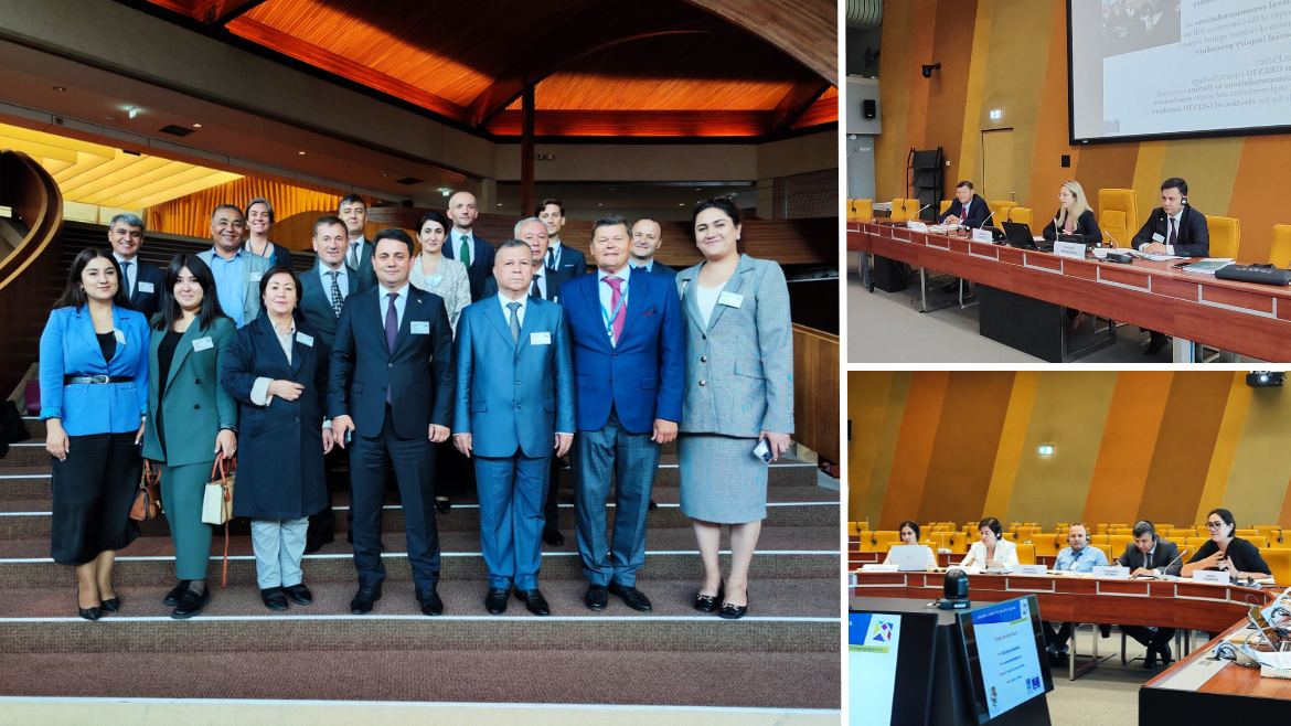Представители Таджикистана приняли участие в семинаре по конвенциям Совета Европы