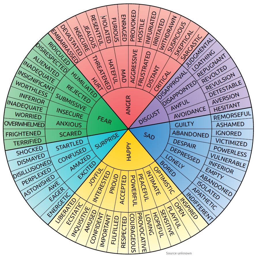 Image of an emotion wheel