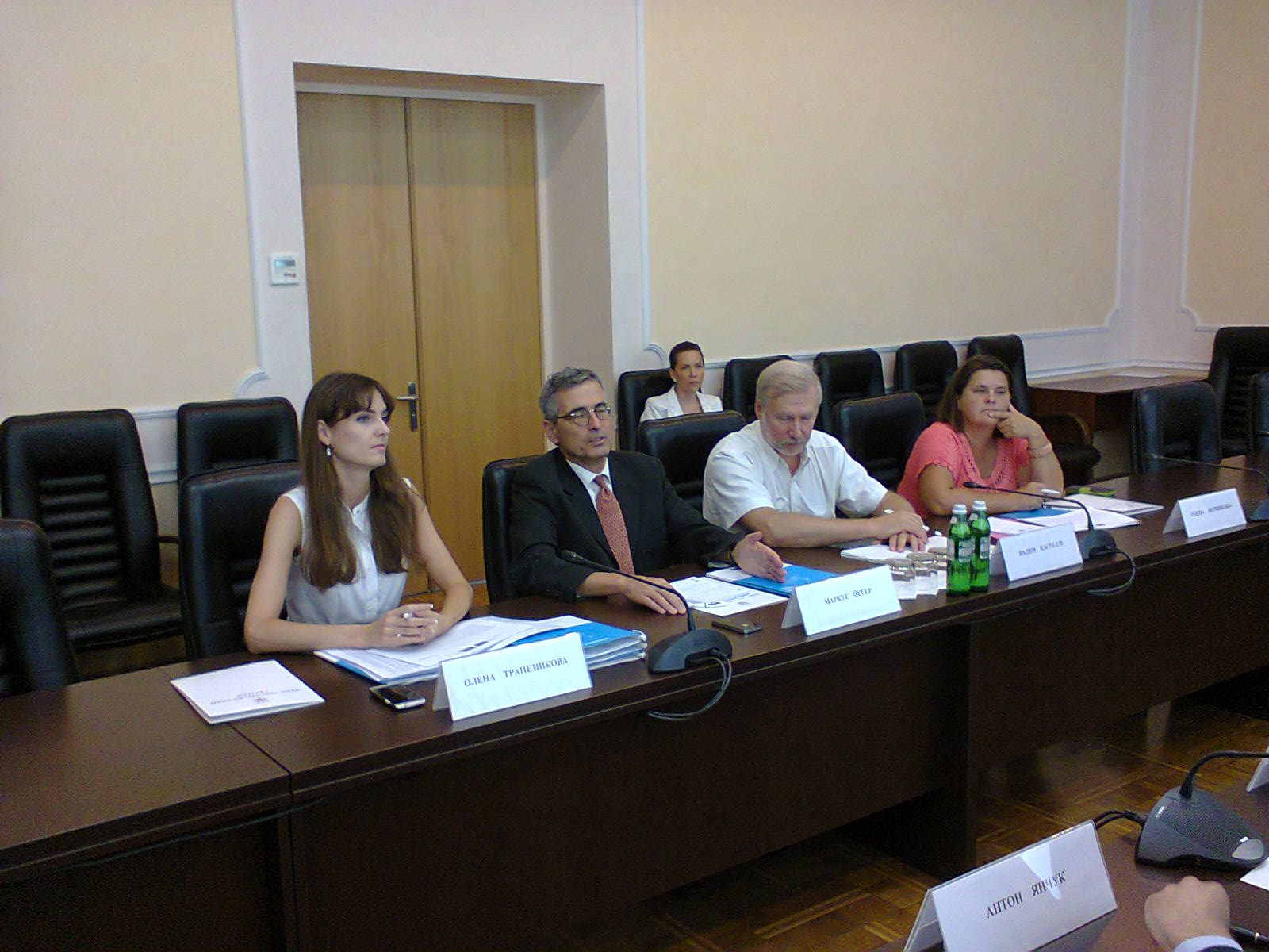Deputy Special Advisor to the Secretary General of the Council of Europe for Ukraine held a meeting with the First Deputy Minister of Justice of Ukraine