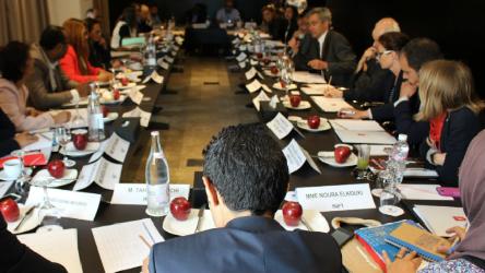 Soutenir le développement stratégique et le fonctionnement de l’Instance Nationale de la Prévention de la Torture de Tunisie