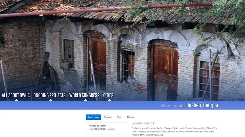 Dusheti as an example of the website presentation