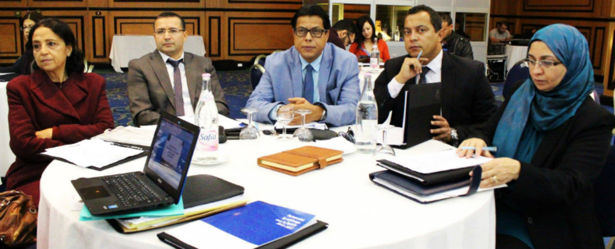 The South Programme II holds its second bilateral Steering Committee with Tunisia